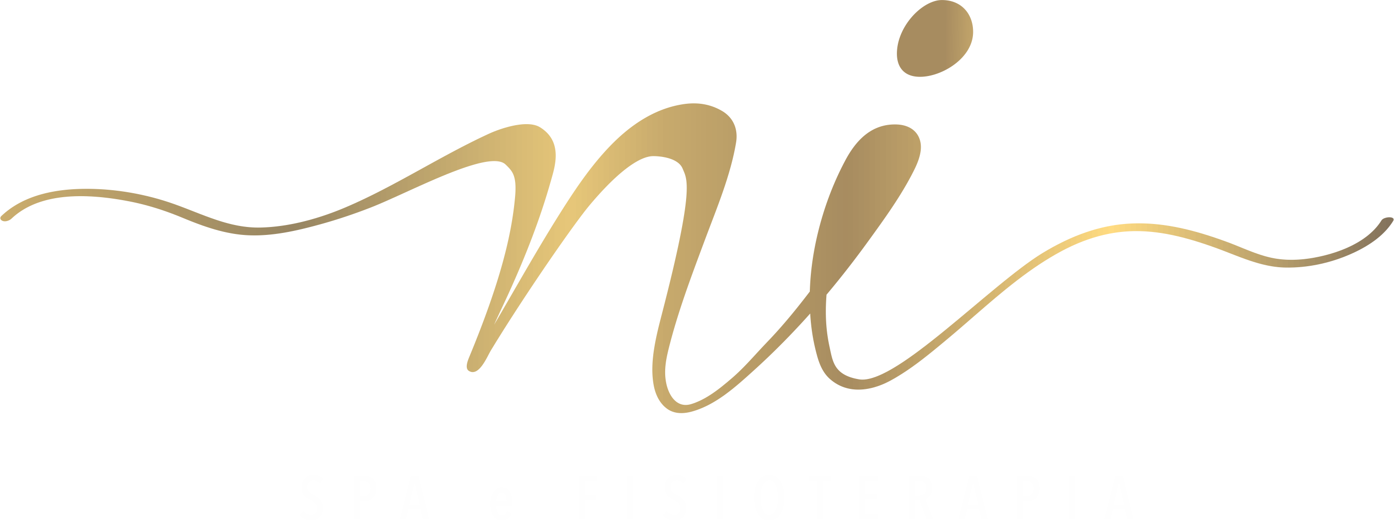NiSpa - Spa e Fisioterapia